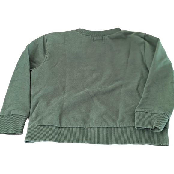 Polished Prints organic sweatshirt sage green size 18 MO - Picture 2 of 6
